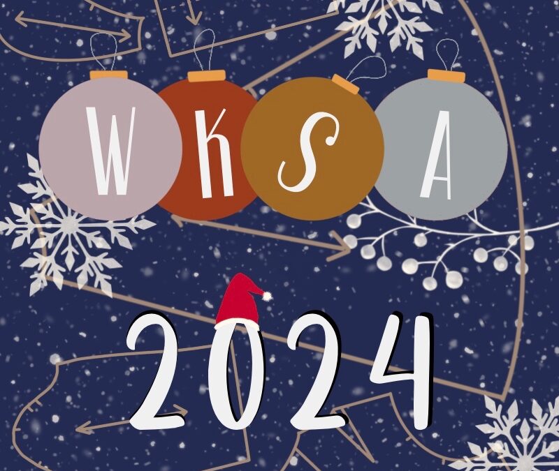 MMM: Weihnachtskleid Sew Along 2024 Projektvorstellung